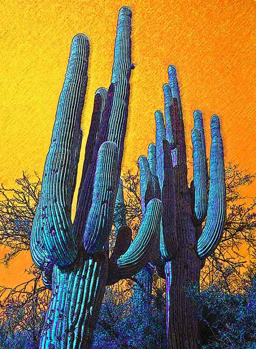 Cactus Art