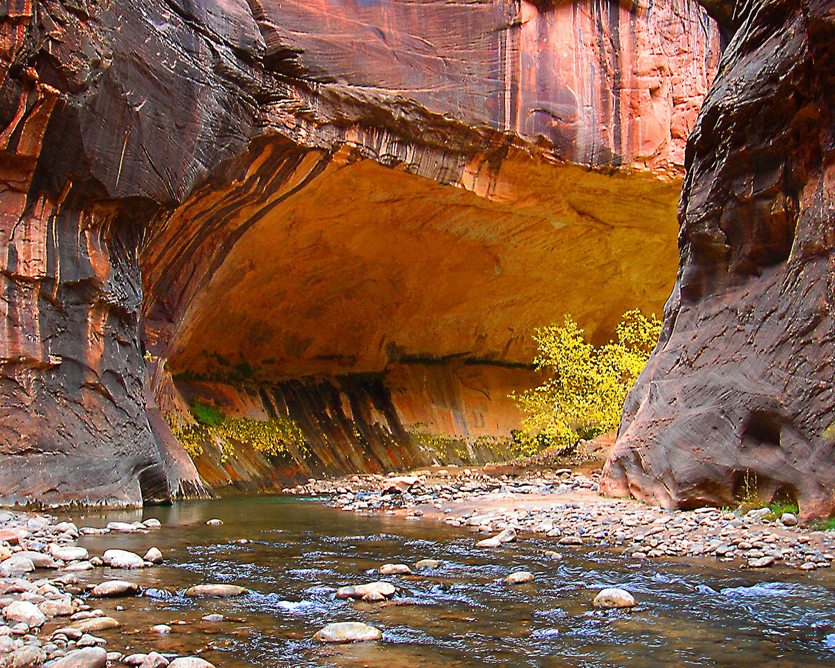 Z3.Zion NP