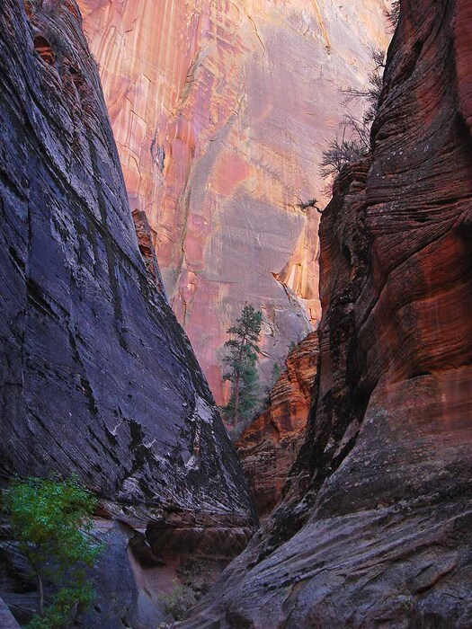 Zion National Park