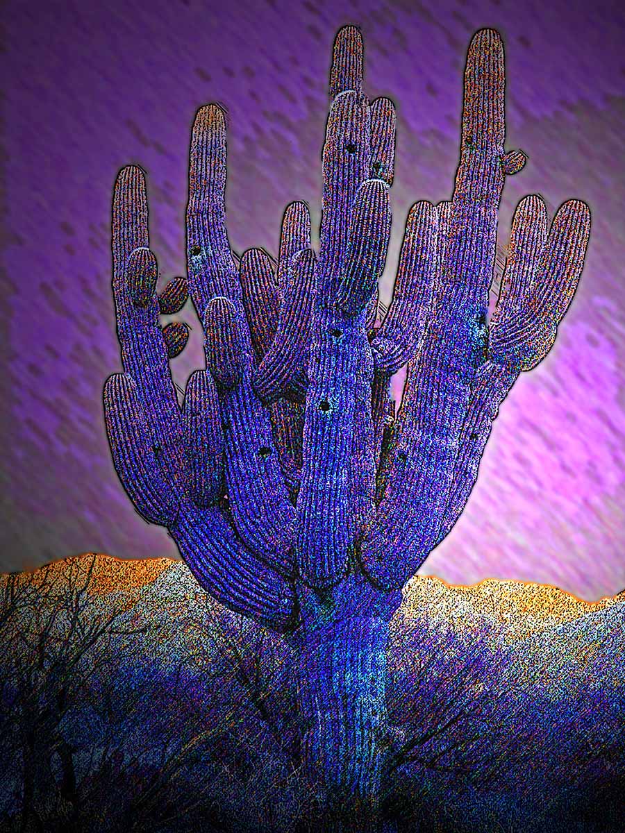 Cactus Art