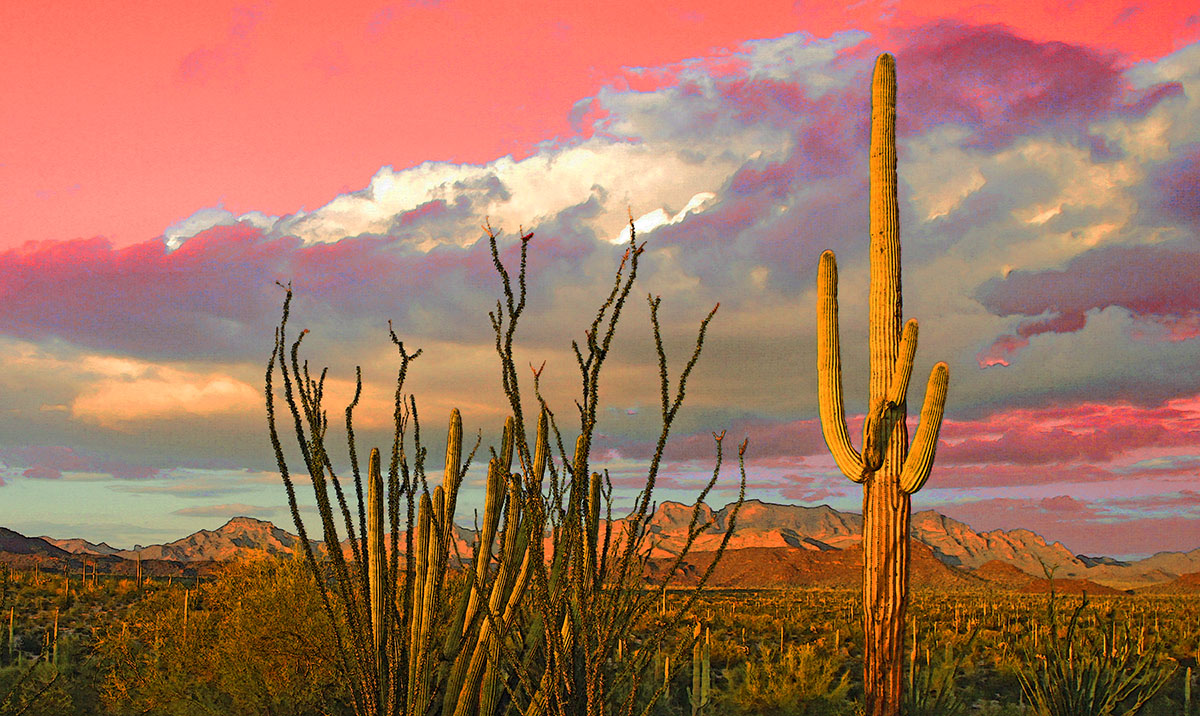 Sonoran Desert